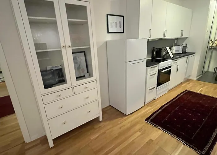 Cosy Apartment - Tromsoya